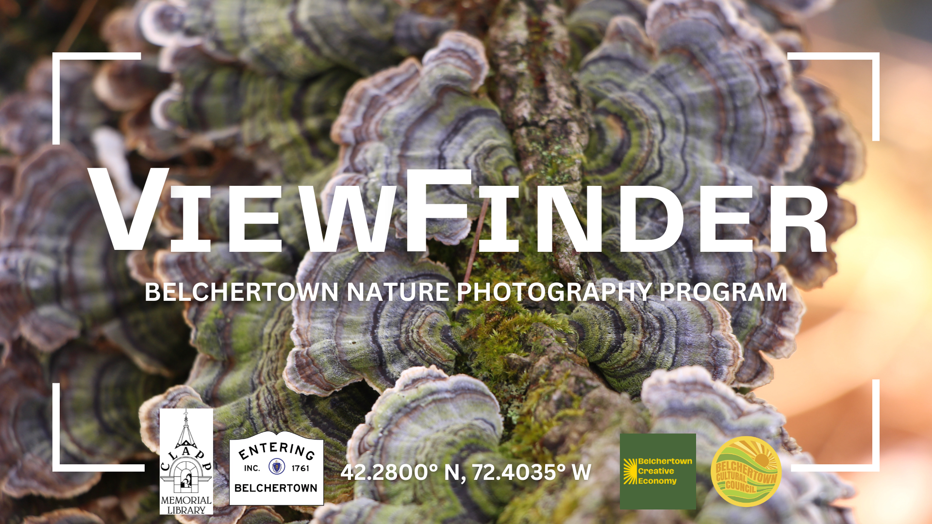 "viewfinder: belchertown nature photography program" over a photograph of wild mushrooms