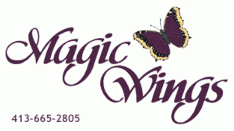 text: "magic wings" with a butterfly above and phone number 413-665-2805