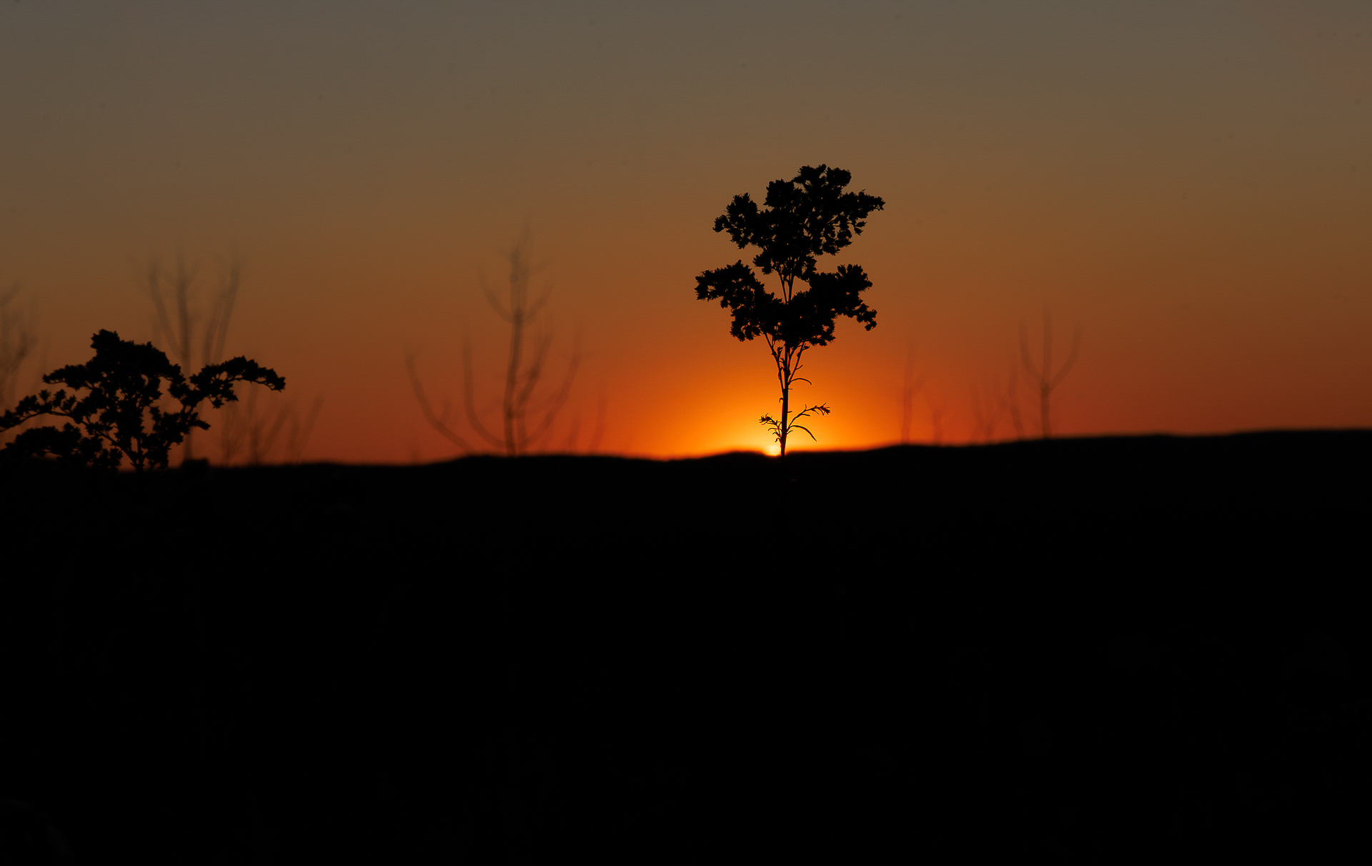 color photograph of the sky turning orange at dawn behind a dark landscape