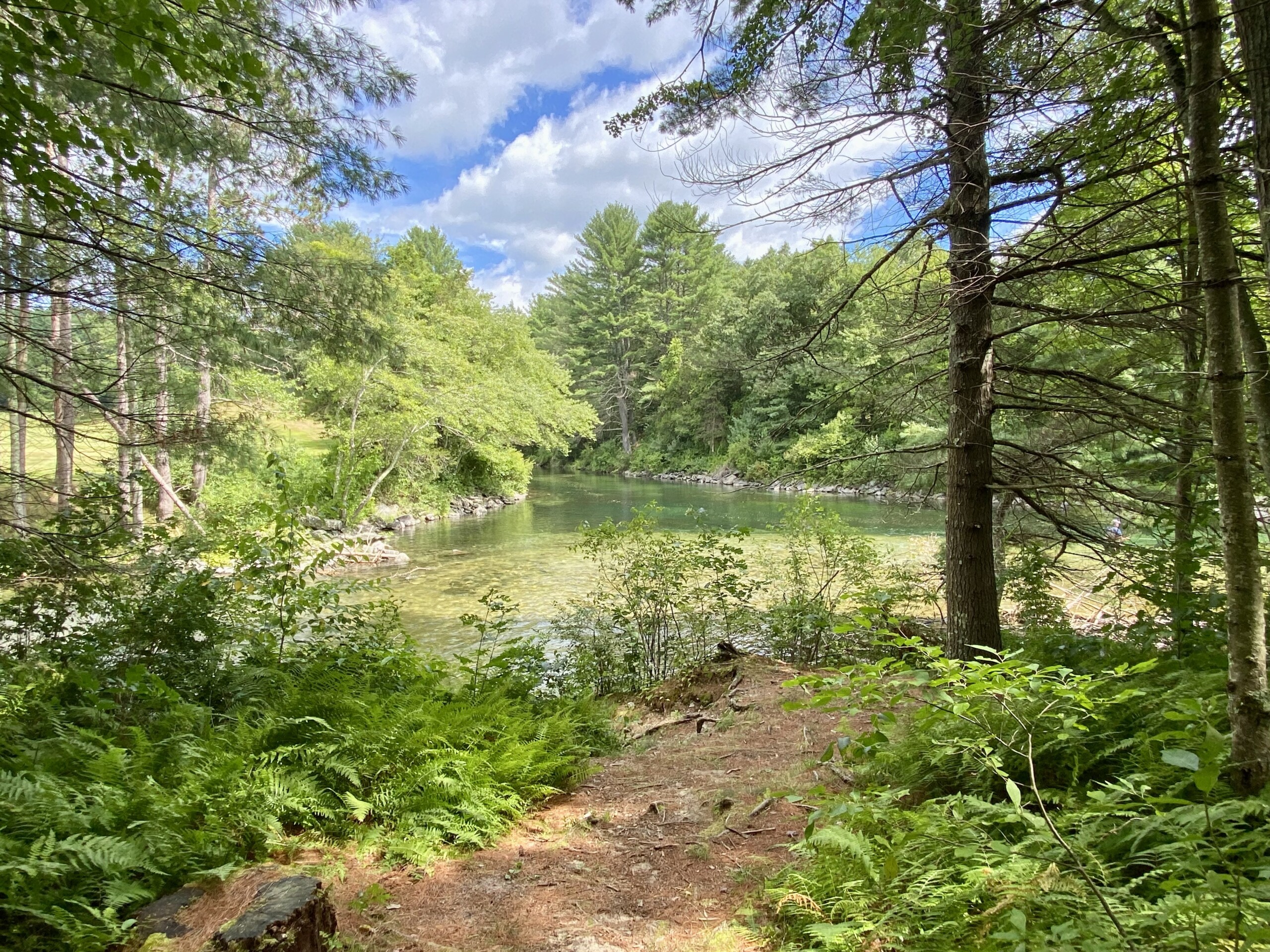 color photograph looking down a woodland path at a still pond